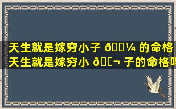 天生就是嫁穷小子 🐼 的命格「天生就是嫁穷小 🐬 子的命格吗」